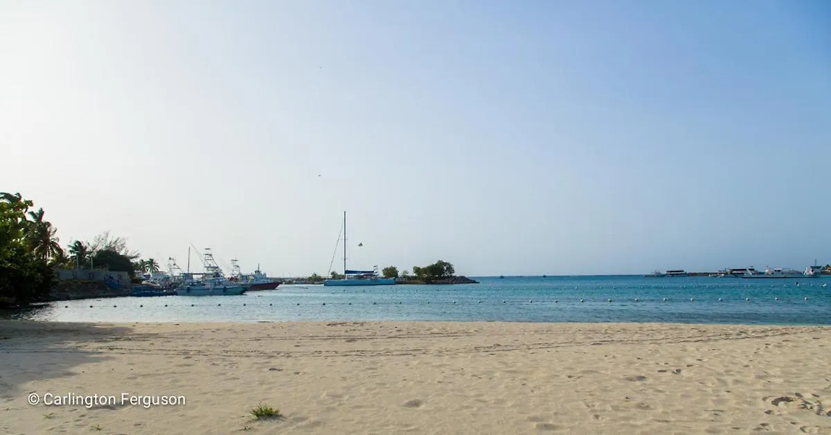 Turtle Beach Towers Ocho Rios 0*,  Jamaica